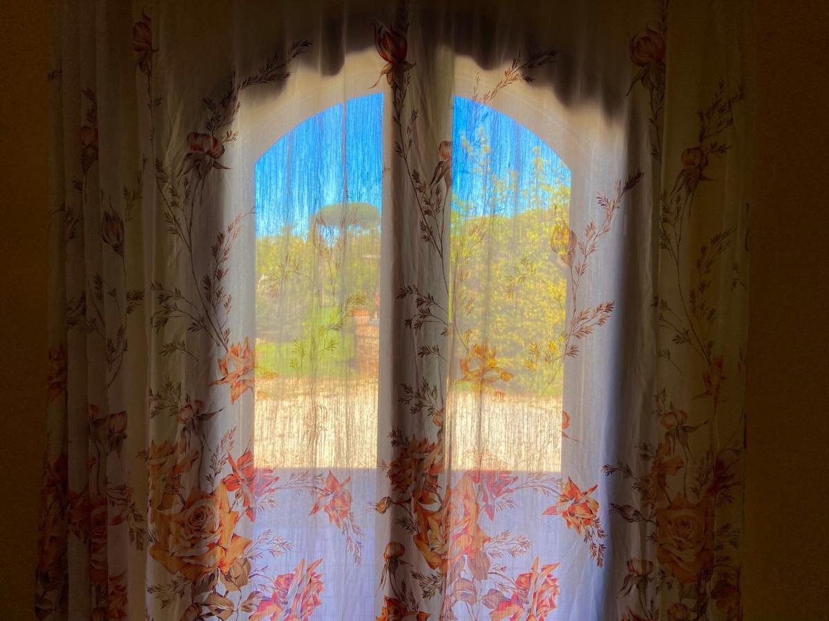 Agriturismo Re Di Fiori Donoratico Exteriér fotografie