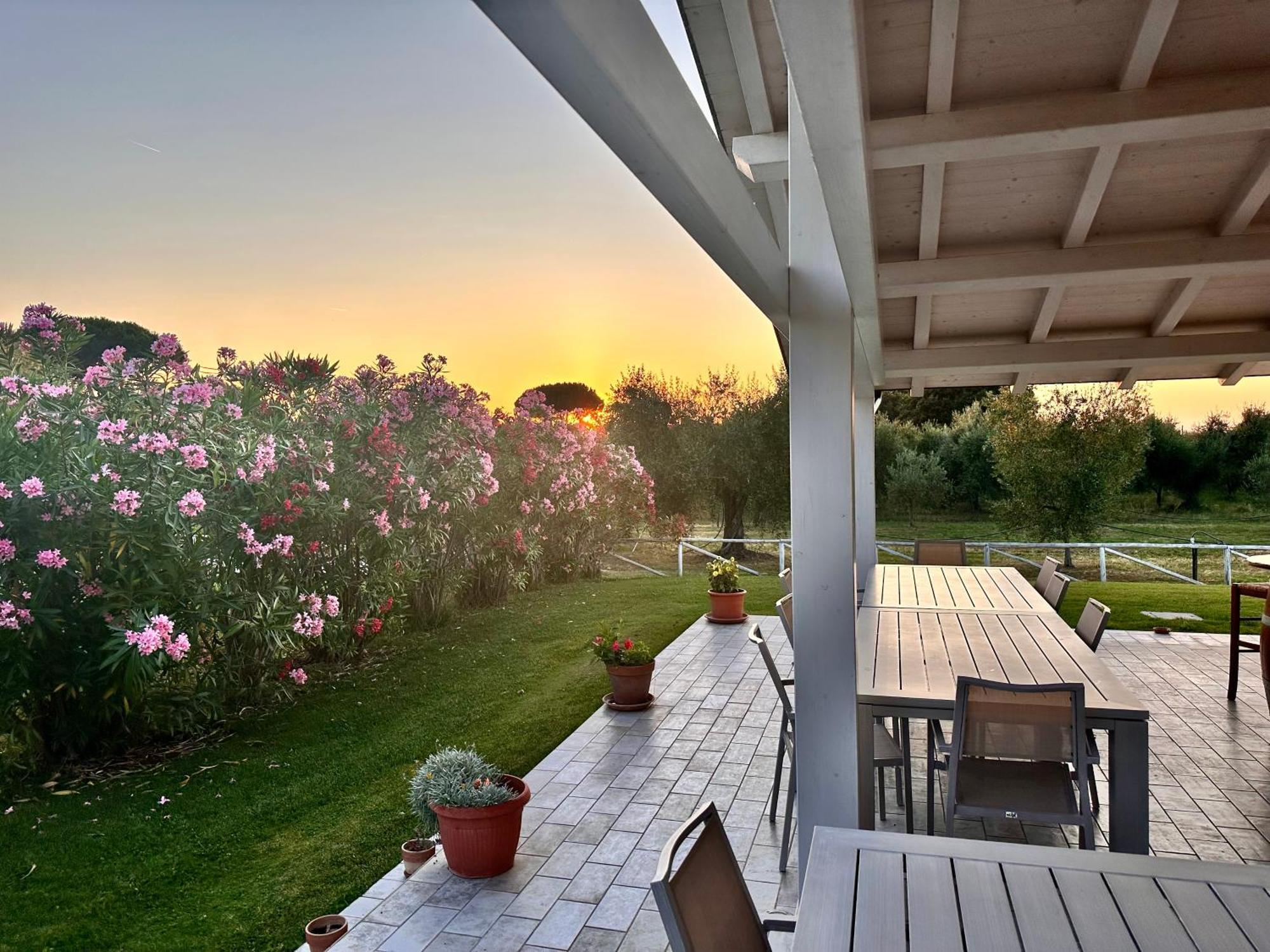 Agriturismo Re Di Fiori Donoratico Exteriér fotografie